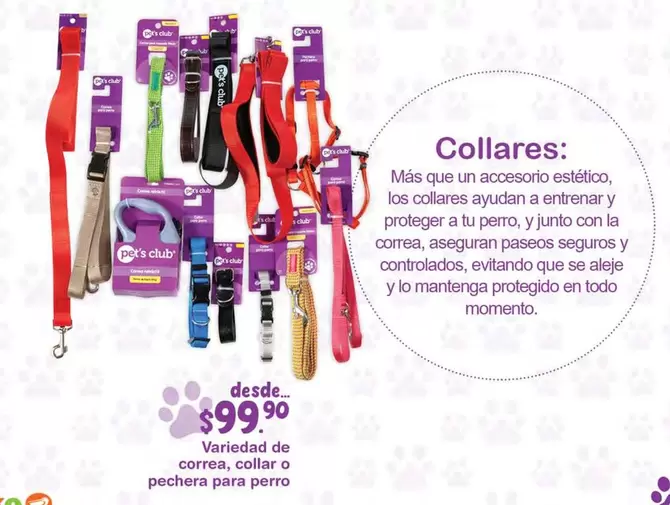 Oferta de Variedad De Correa, Collar O Pechera Para Perro por $99.9 en Fresko