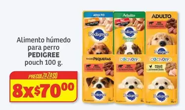 Oferta de Pedigree - Alimento Húmedo Para Perro Pouch en Soriana Híper