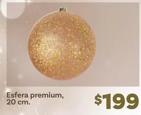 Oferta de Premium - Esfera , 20 Cm. por $199 en Soriana Híper