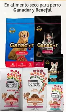 Oferta de Ganador - En Alimento Seco Para Perro  Y Beneful en Soriana Híper