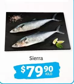 Oferta de Sierra por $79.9 en Soriana Híper