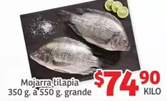 Oferta de Mojarra Tilapia por $74.9 en Soriana Híper