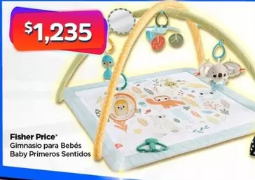 Oferta de Baby  - Fisher Price Gimnasio Para Bebés Primeros Sentidos por $1235 en Bodega Aurrera