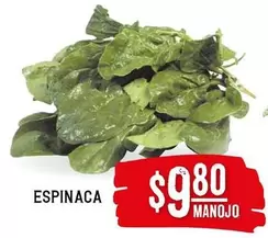 Oferta de Espinaca por $9.8 en Soriana Híper