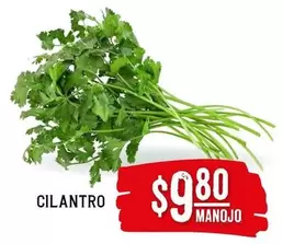 Oferta de Cilantro por $9.8 en Soriana Híper