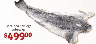 Oferta de Bacalada noruega entera por $499 en Soriana Híper