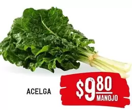 Oferta de Acelga por $9.8 en Soriana Híper