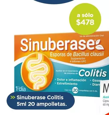 Oferta de Sinuberase - Colitis 5Ml 20 Ampolletas por $478 en Farmacia San Pablo