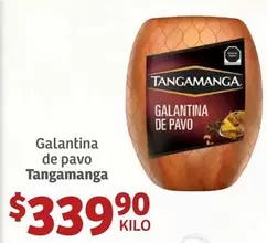 Oferta de Tangamanga - Galantina De Pavo por $339.9 en Soriana Híper