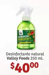 Oferta de Natural - Desinfectante  Foods 250 Ml por $40 en Soriana Híper