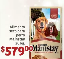 Oferta de Mainstay - Alimento Seco Para Perro por $579 en Soriana Híper