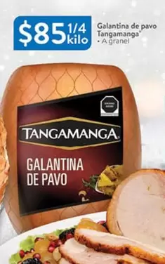 Oferta de Tangamanga - Galantina De Pavo por $851 en Walmart