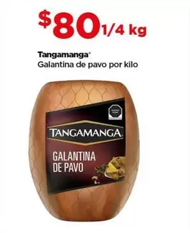 Oferta de Tangamanga - Galantina De Pavo Por Kilo por $801 en Bodega Aurrera