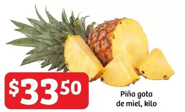 Oferta de Piña Gota De Miel por $33.5 en Soriana Híper