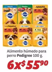 Oferta de Pedigree - Alimento Húmedo Para Perro por $55.9 en Soriana Híper