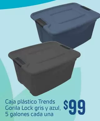 Oferta de Lock - Caja Plástico Trends Gorilla  Gris Y Azul por $99 en Soriana Híper