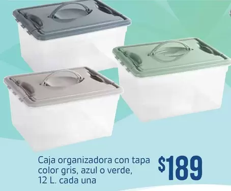 Oferta de Azul - Caja Organizadora Con Tapa Color Gris,  O Verde por $189 en Soriana Súper