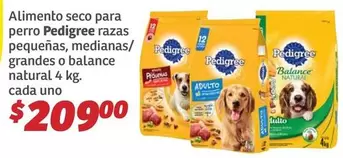 Oferta de Pedigree - Alimento Seco Para Perro Razas Pequenas, Medianas/ Grandes O Balance Natural por $209 en Soriana Híper