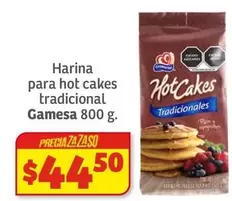 Oferta de Gamesa - Harina Para Hot Cakes Tradicional por $44.5 en Soriana Híper