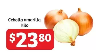 Oferta de Cebolla Amarilla por $23.8 en Soriana Híper