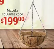 Oferta de Maceta Colgante Coco por $199 en Soriana Híper