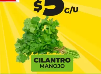 Oferta de Cilantro por $5.99 en Merco