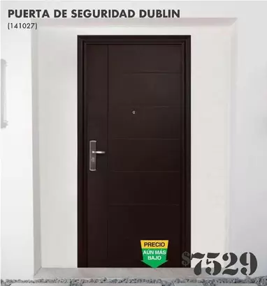 Oferta de Puerta De Seguridad Dublin  por $7529 en The Home Depot