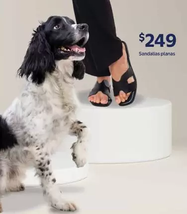 Oferta de Sandalias Planas por $249 en Walmart