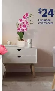 Oferta de Orquídea Con Maceta por $24.99 en Walmart