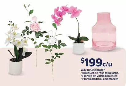 Oferta de Wayto Celebrate por $199 en Walmart