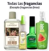 Oferta de Brut - Todas Las Fragancias en Soriana Híper