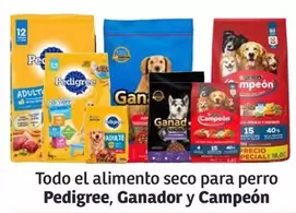 Oferta de Pedigree - Todo El Alimento Seco Para Perro en Soriana Híper