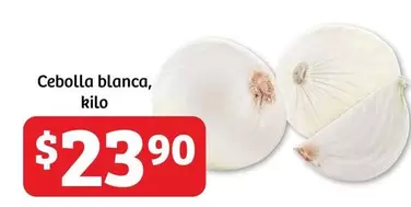 Oferta de Cebolla Blanca por $23.9 en Soriana Híper
