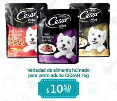 Oferta de Variedad De Alimento Húmedo Para Perro Adulto por $10.5 en La Comer