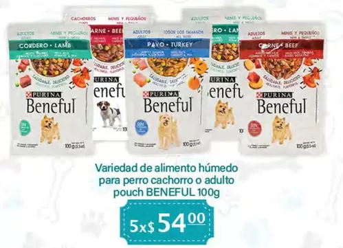 Oferta de Beneful - Variedad De Alimento Húmedo Para Perro Cachorro O Adulto Pouch en La Comer