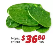 Oferta de Nopal Entero por $36.8 en Soriana Híper