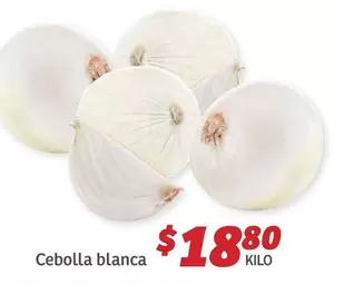 Oferta de Cebolla Blanca por $18.8 en Soriana Híper