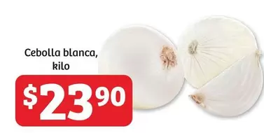 Oferta de Cebolla Blanca por $23.9 en Soriana Híper