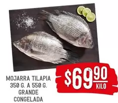 Oferta de Mojarra Tilapia por $69.9 en Soriana Híper