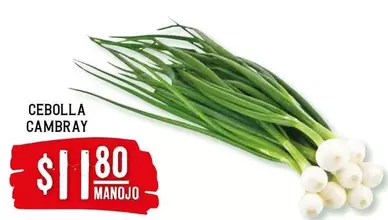 Oferta de Cebolla Cambray por $11.8 en Soriana Híper
