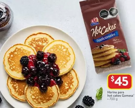 Oferta de Gamesa - Harina Para Hot Cakes por $45 en Walmart