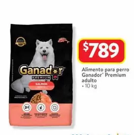 Oferta de Ganador - Alimento Para Perro Premium Adulto por $789 en Walmart