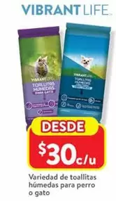 Oferta de Toallitas Húmedas Para Perro O Gato por $30 en Walmart