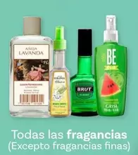 Oferta de Brut - Todas Las Fragancias por $1 en Soriana Híper