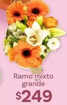 Oferta de Ramo Mixto Grande por $249 en Soriana Híper