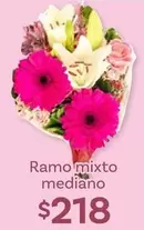 Oferta de Ramo Mixto Mediano por $218 en Soriana Híper