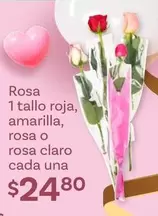 Oferta de Rosa 1 Tallo Roja, Amarilla, Rosa O Rosa Claro Cada Una por $24.8 en Soriana Híper