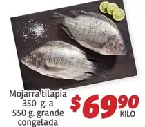 Oferta de Mojarra Tilapia por $69.9 en Soriana Híper