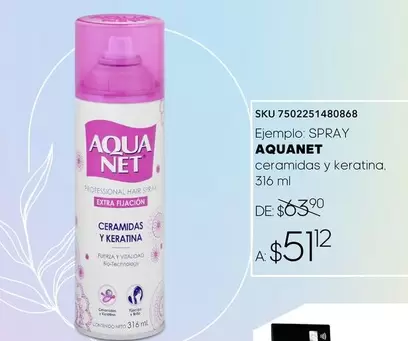 Oferta de Aqua Net - Ej. Spray por $51.12 en Woolworth