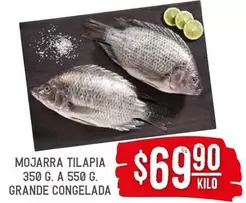 Oferta de Mojarra Tilapia por $69.9 en Soriana Híper